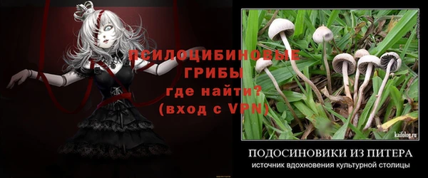 ГАЛЛЮЦИНОГЕННЫЕ ГРИБЫ Абдулино