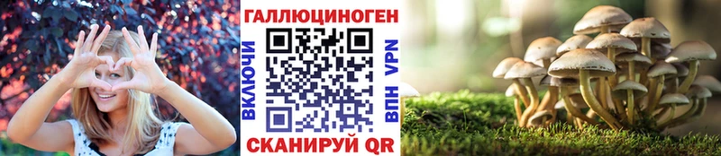Псилоцибиновые грибы Psilocybe  Кудымкар 