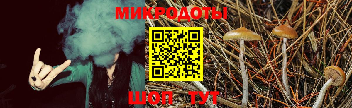 Псилоцибиновые грибы MAGIC MUSHROOMS Кудымкар
