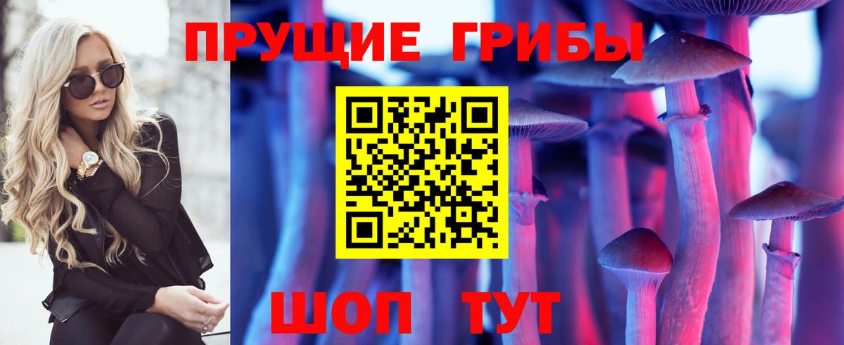 Кудымкар  Псилоцибиновые грибы MAGIC MUSHROOMS  Галлюциногенные грибы Psilocybe  Вход с VPN 